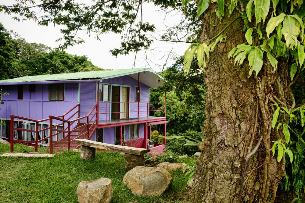 Valle Escondido Nature Reserve Hotel & Farm Monteverde Extérieur photo