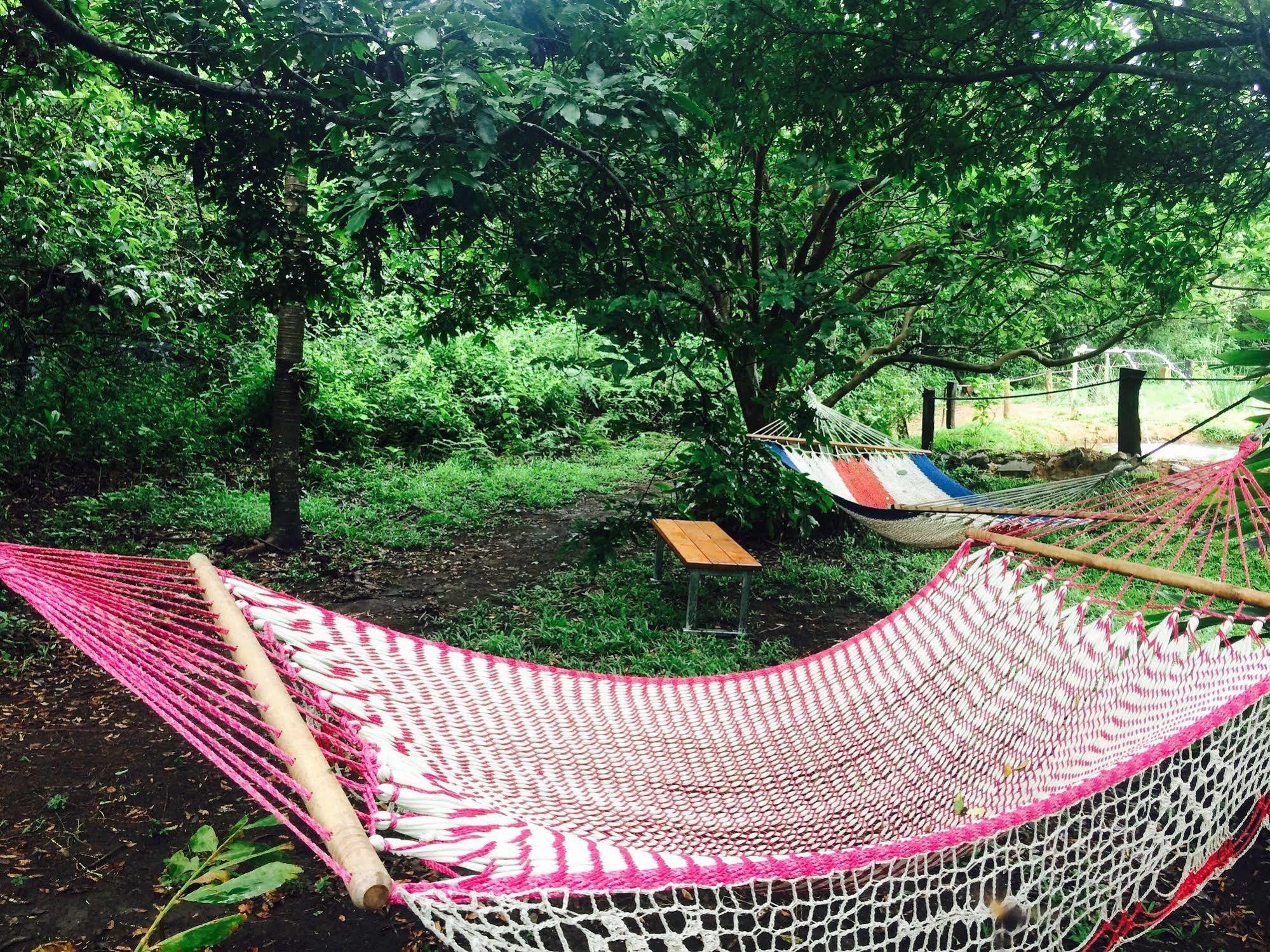 Valle Escondido Nature Reserve Hotel & Farm Monteverde Extérieur photo